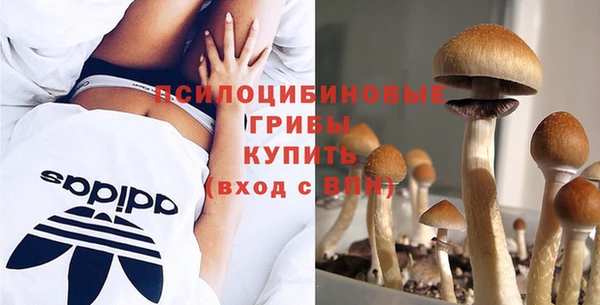 PSILOCYBIN Богородск